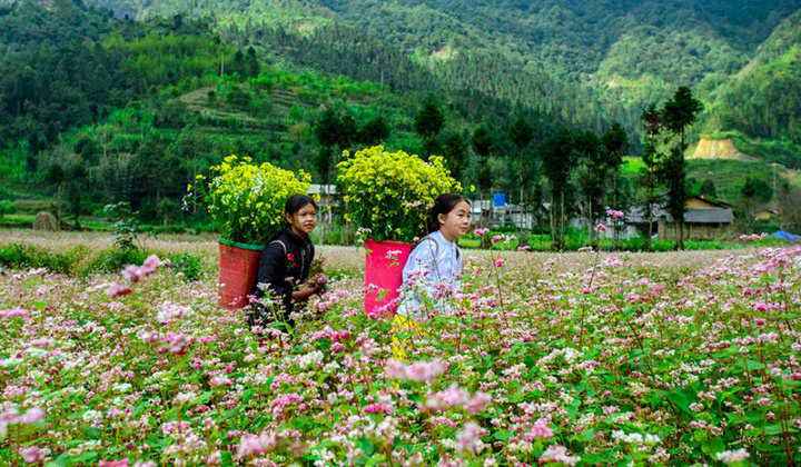 Nhiều điểm du lịch mở cửa đón du khách