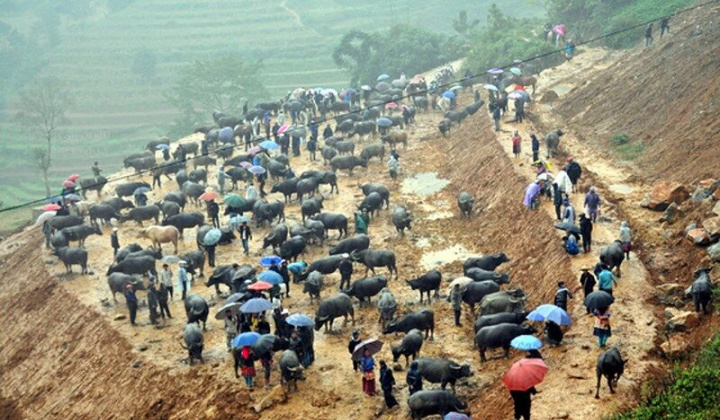 Khám phá nét độc đáo của phiên chợ vùng cao biên giới - Cán Cấu