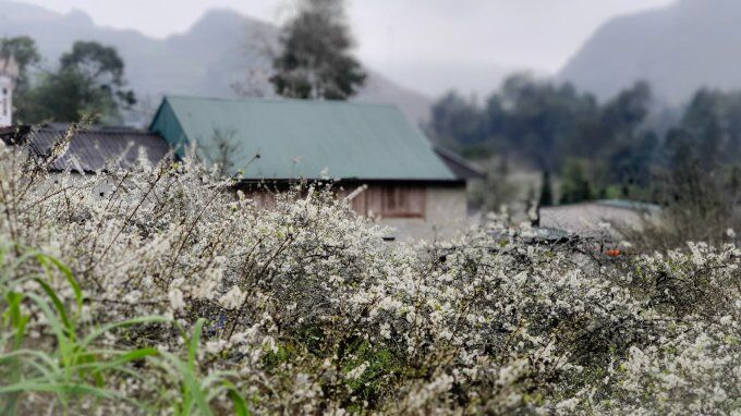 Khám phá vùng cao nguyên trắng - Bắc Hà