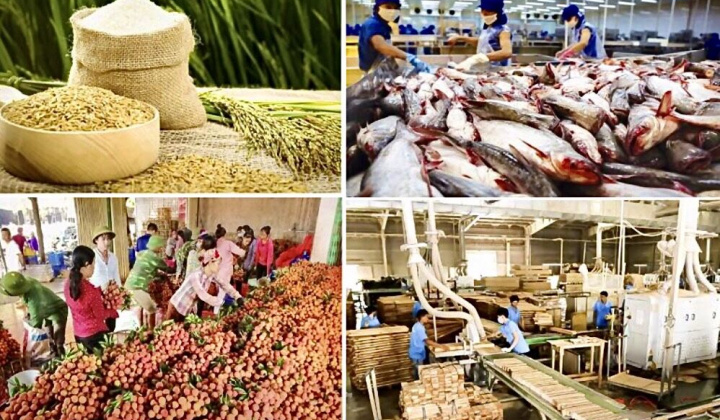 Chuỗi cung ứng nông nghiệp trong đại dịch COVID-19