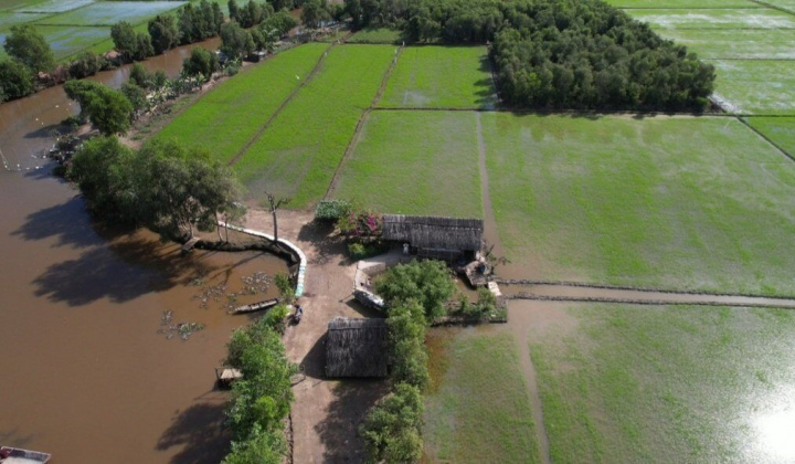 Một góc miền Tây sông nước giữa lòng thành phố Hồ Chí Minh