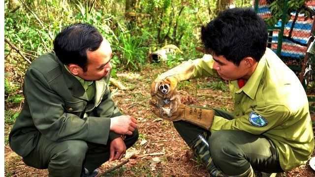 Lào Cai: Nâng cao ý thức bảo tồn động vật hoang dã trong hệ sinh thái tự nhiên