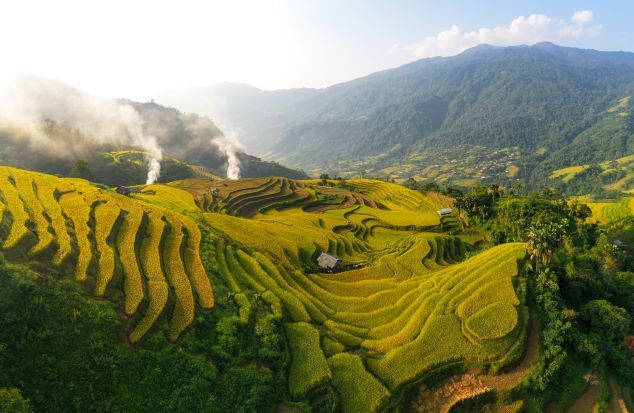 Rực sắc vàng trên non cao “mùa hạnh phúc” của người dân Cao Bồ