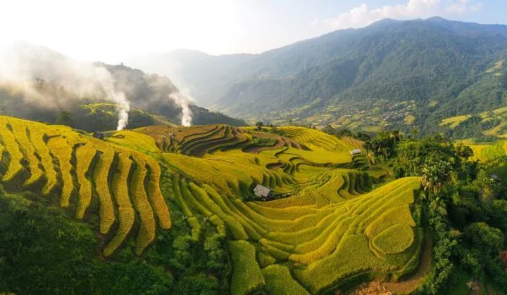 Rực sắc vàng trên non cao “mùa hạnh phúc” của người dân Cao Bồ