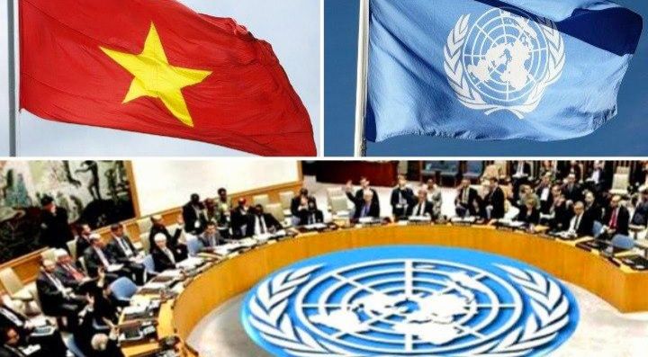 45 năm quan hệ Việt Nam - Liên Hợp Quốc: Đối tác tin cậy vì hòa bình, hợp tác và phát triển