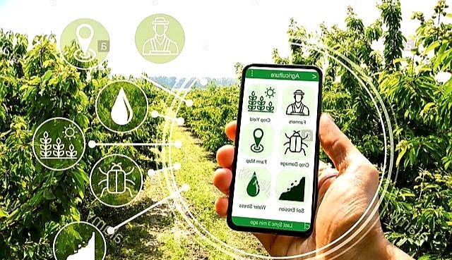 Các vấn đề chính sách bảo vệ môi trường trong xây dựng nông thôn mới hiện nay