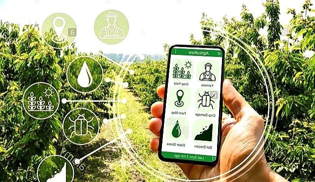 Các vấn đề chính sách bảo vệ môi trường trong xây dựng nông thôn mới hiện nay