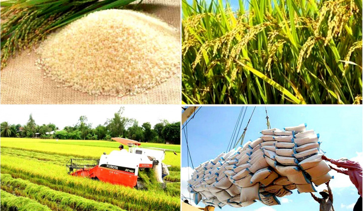 Thực hiện quan điểm Hồ Chí Minh về bảo đảm an ninh nông thôn