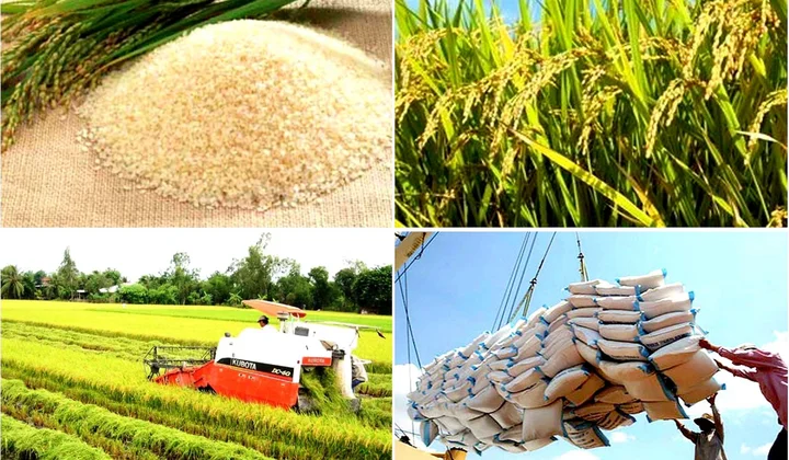 Thực hiện quan điểm Hồ Chí Minh về bảo đảm an ninh nông thôn