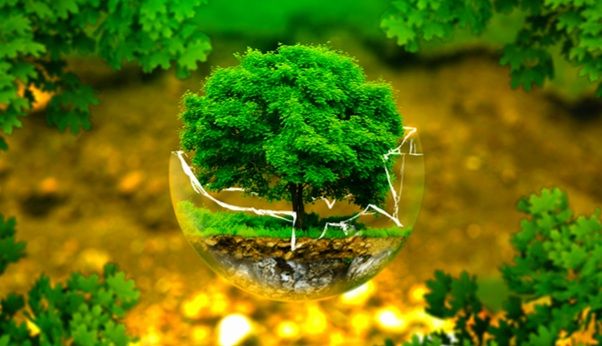 Ứng phó biến đổi khí hậu: Hoàn thiện thể chế, chính sách phù hợp với xu thế toàn cầu