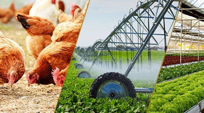 Một số nội dung mới trong chủ trương của Đảng về phát triển nông nghiệp, nông dân, nông thôn