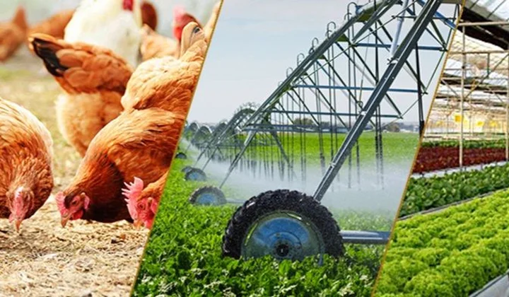 Một số nội dung mới trong chủ trương của Đảng về phát triển nông nghiệp, nông dân, nông thôn