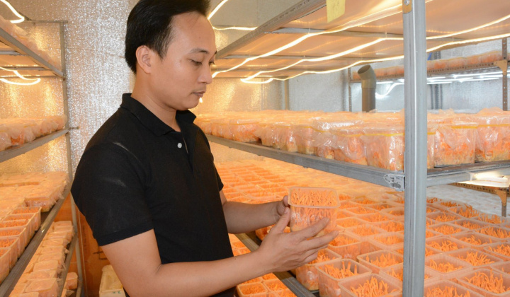 OCOP: Nguồn lực để Nam Định hoàn thành chương trình xây dựng nông thôn mới nâng cao