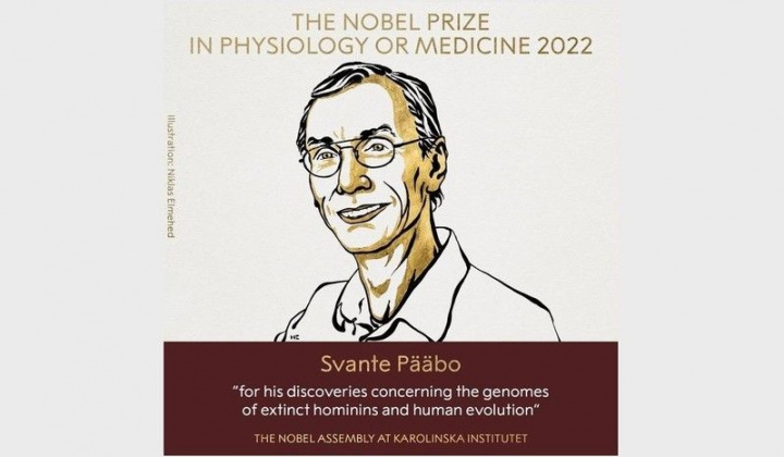 Giải Nobel Y Sinh 2022 vinh danh những khám phá về sự tiến hóa của loài người