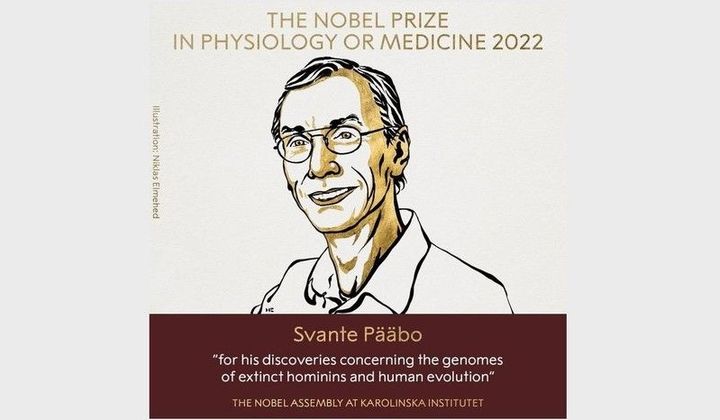 Giải Nobel Y Sinh 2022 vinh danh những khám phá về sự tiến hóa của loài người
