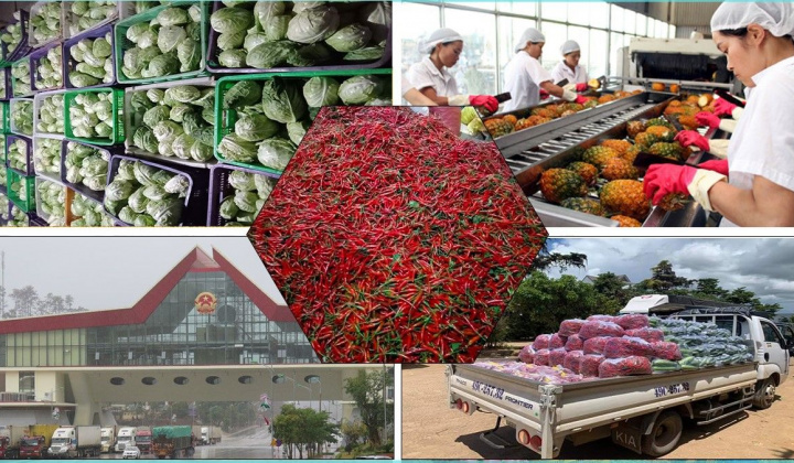 Hạnh phúc khi đưa sản phẩm của người Việt ra nước ngoài