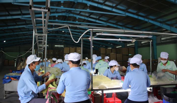 Ninh Thuận: Tăng trưởng ổn định và phục hồi trong 9 tháng đầu năm