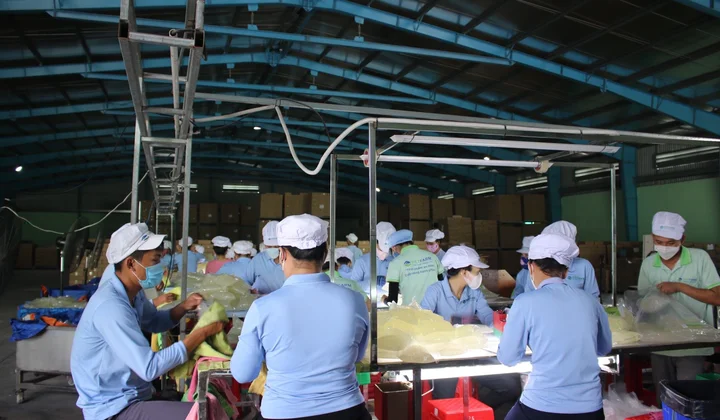 Ninh Thuận: Tăng trưởng ổn định và phục hồi trong 9 tháng đầu năm