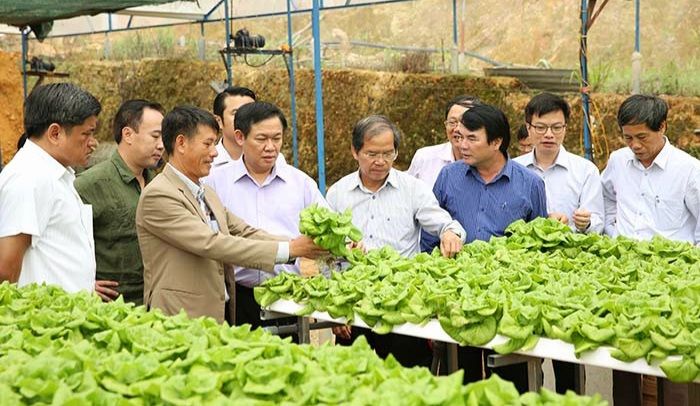 Phát triển kinh tế tập thể trong nền kinh tế thị trường định hướng xã hội chủ nghĩa