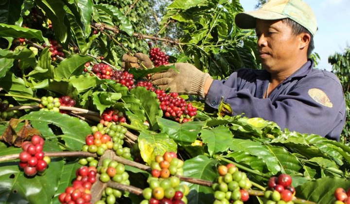 Đắk Lắk: Nhiều tín hiệu tích cực về tình hình kinh tế - xã hội trong 10 tháng đầu năm