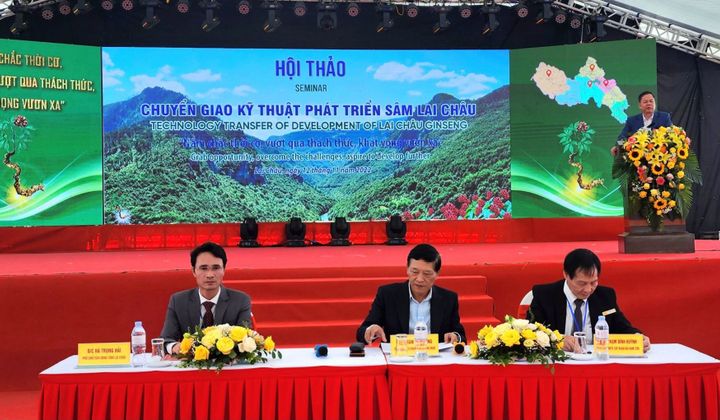 Hội thảo chuyển giao khoa học kỹ thuật phát triển Sâm Lai Châu