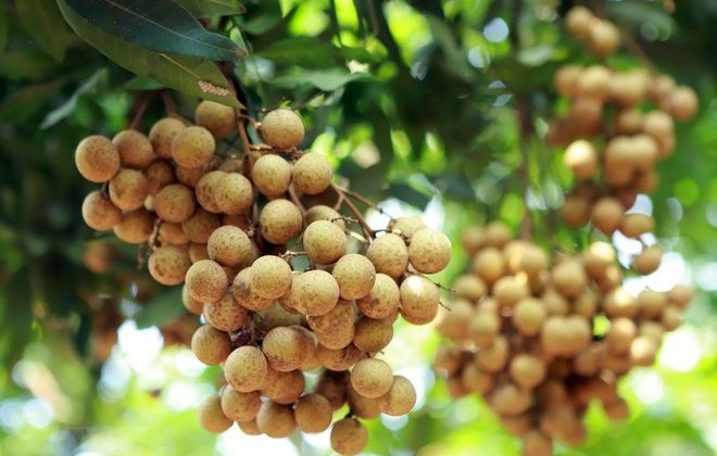 2022 – successful year for farm produce exports