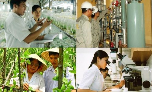 Ứng dụng khoa học – công nghệ vào sản xuất nông nghiệp: Thành tựu, hạn chế và giải pháp tháo gỡ