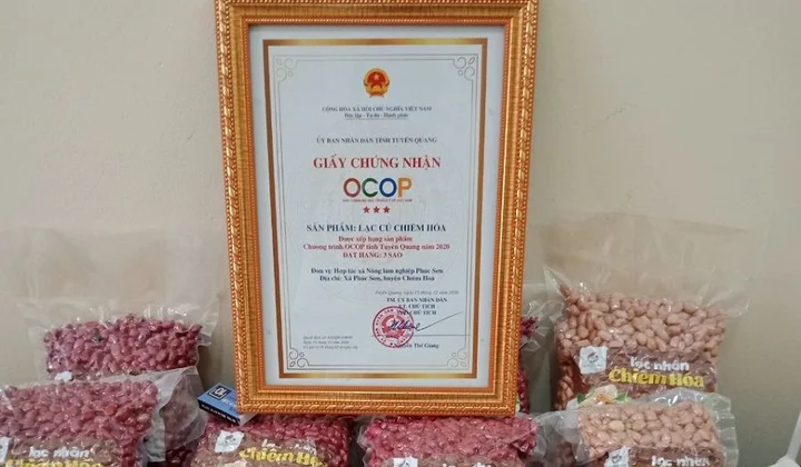 OCOP nâng chất cho các HTX tỉnh Tuyên Quang (Bài 2): “Bệ phóng” cho thương hiệu nông sản