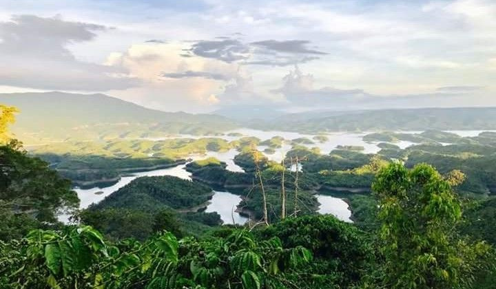 Toạ đàm kỷ niệm 63 năm ngày Lâm nghiệp Việt Nam (28/11/1959 – 28/11/2022)