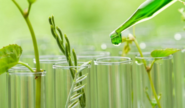 Hướng tới 'hóa học xanh' để phát triển công nghiệp bền vững