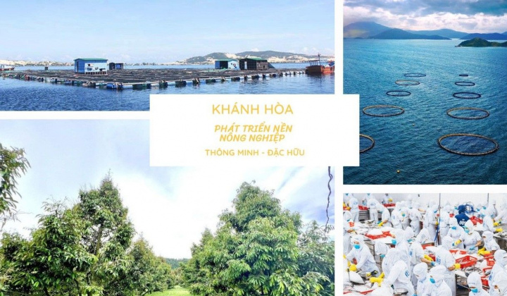 Khánh Hòa: Phát triển nền nông nghiệp thông minh đặc hữu