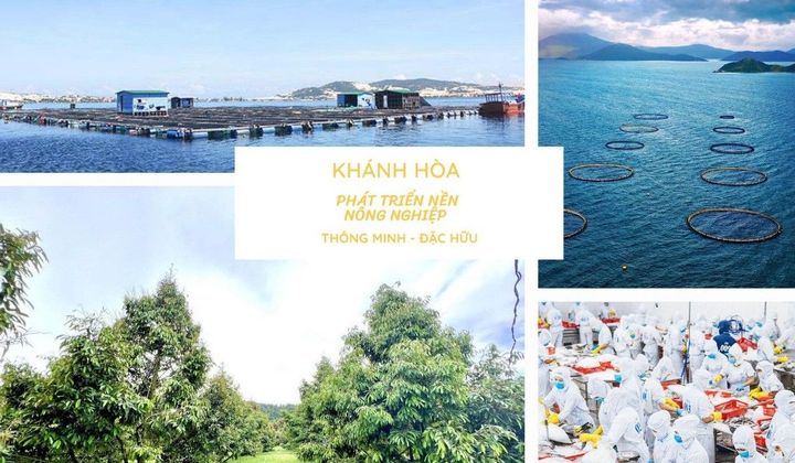 Khánh Hòa: Phát triển nền nông nghiệp thông minh đặc hữu