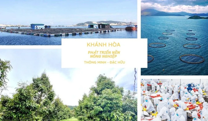 Khánh Hòa: Phát triển nền nông nghiệp thông minh đặc hữu