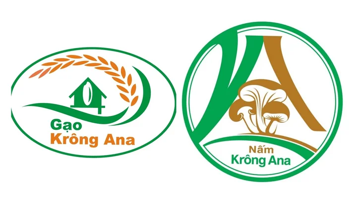 Phát triển thương hiệu Gạo – Nấm Krông Ana