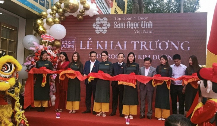 Sâm quý hiếm Ngọc Linh (Võ Kim Đường) xuất hiện tại Hà Tĩnh