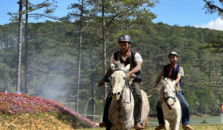 Lâm Đồng: Sôi nổi giải đua ngựa không yên