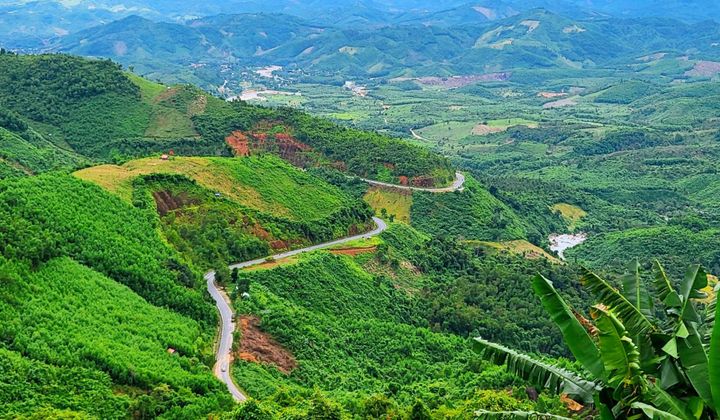 Hút hồn với vẻ đẹp hùng vỹ của Đèo Khánh Lê: Con đường nối biển và hoa