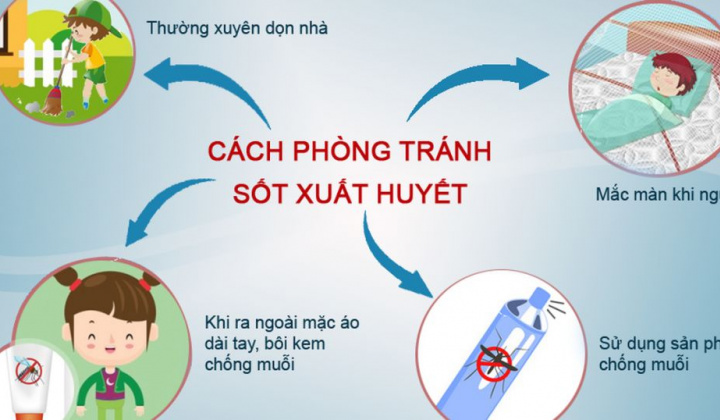 Đắk Lắk: Tăng cường phòng, chống bệnh sốt xuất huyết