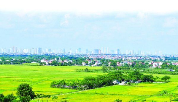 Đơn giản hóa thủ tục, điều kiện chuyển đổi mục đích sử dụng đất