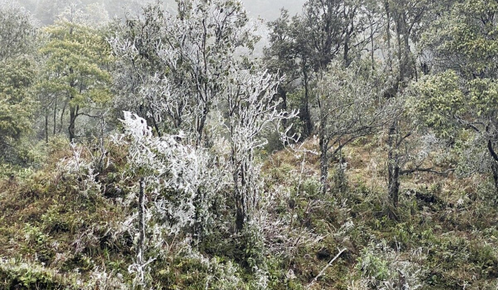 Thời tiết trở lạnh, cơ hội “săn tuyết” cho du khách tại Sapa