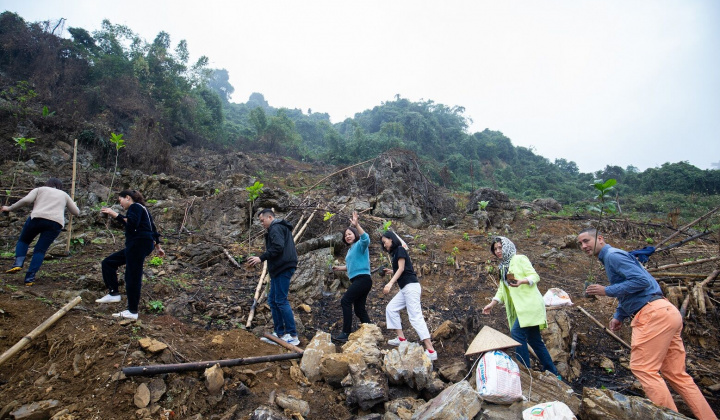 Ra mắt Treebank “Vườn ở khắp nơi”