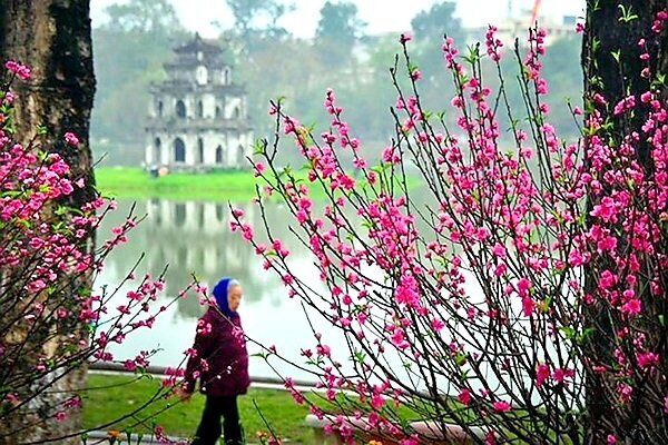 Mùa xuân bàn về sức mạnh nội sinh của dân tộc