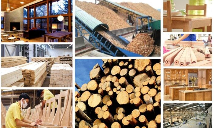 Phát triển ngành công nghiệp chế biến gỗ bền vững, hiệu quả giai đoạn 2021 – 2030