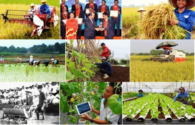 Phát huy bản sắc, giá trị văn hóa nông thôn Việt Nam