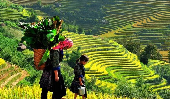 Phê duyệt 74 huyện nghèo, 54 xã đặc biệt khó khăn