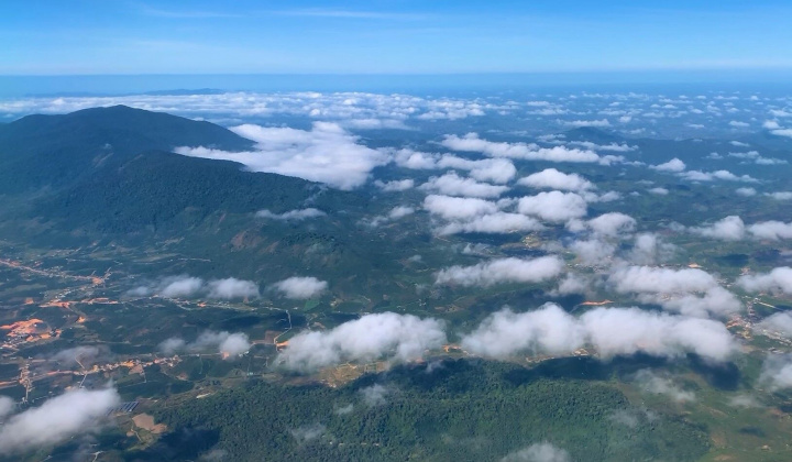 Treebank - Vườn ở khắp nơi