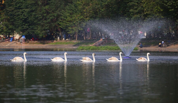 Sở VHTTT và DL Hà Nội đề xuất mở thêm phố đi bộ quanh hồ Thiền Quang