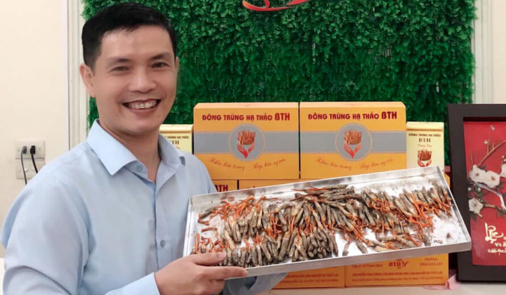 Nhà khoa học Lê Thanh Bình và hành trình phát triển Đông trùng hạ thảo BTH