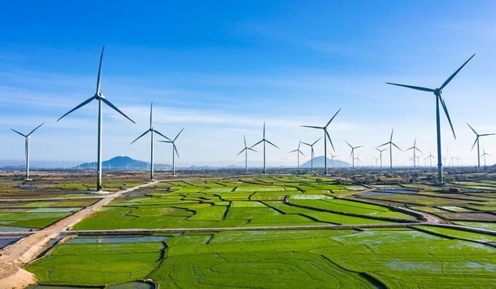 Phát triển kinh tế theo hướng sinh thái, tuần hoàn, tăng trưởng xanh