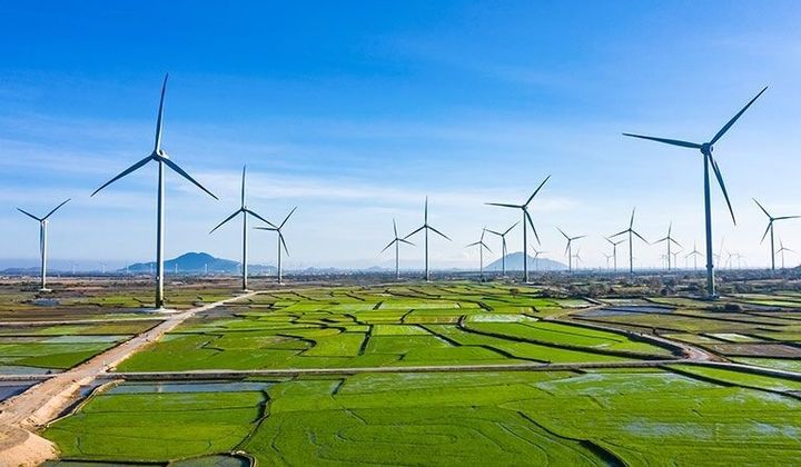 Phát triển kinh tế theo hướng sinh thái, tuần hoàn, tăng trưởng xanh